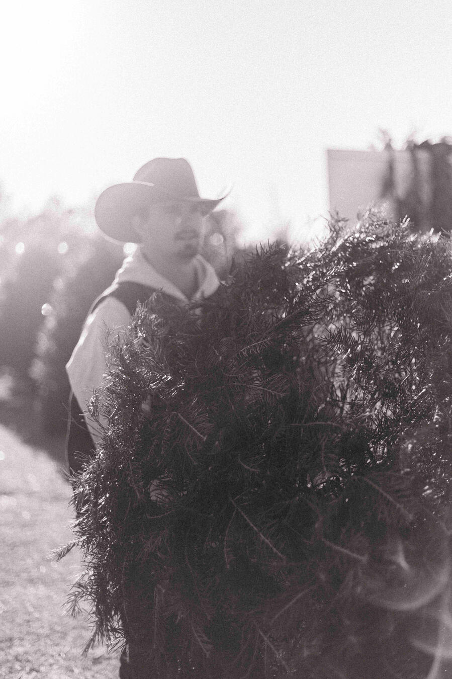 The Farm at Magnolia Acres Christmas Tree Lot Logo