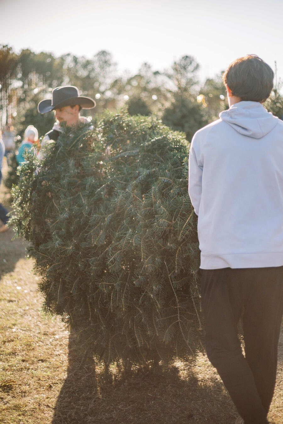 The Farm at Magnolia Acres Christmas Tree Lot Logo